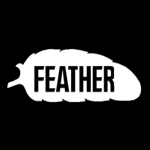 Feather Safety Razor Blades - 5 pack